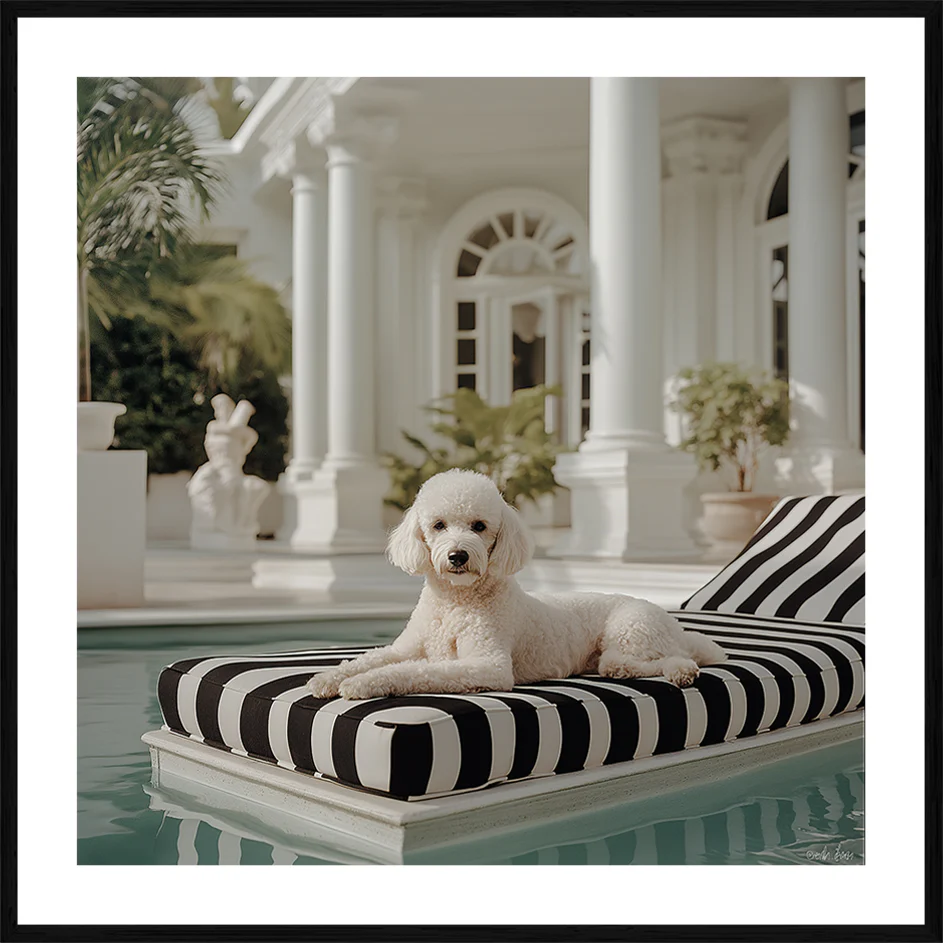 Pippa Poodle Fashion Wall Art - Image 3